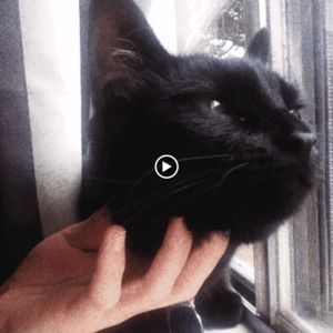 Meet your Posher, Kat